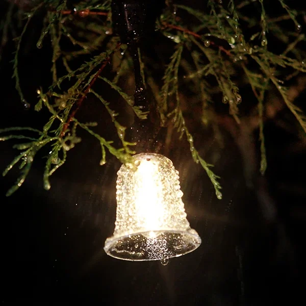solar string light